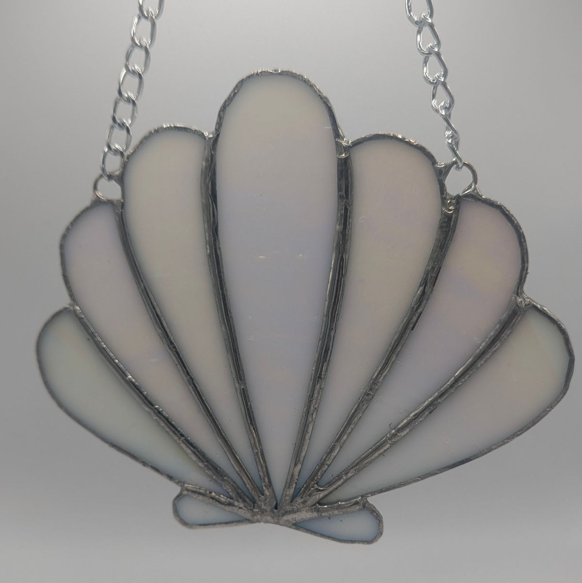 Sea Shell