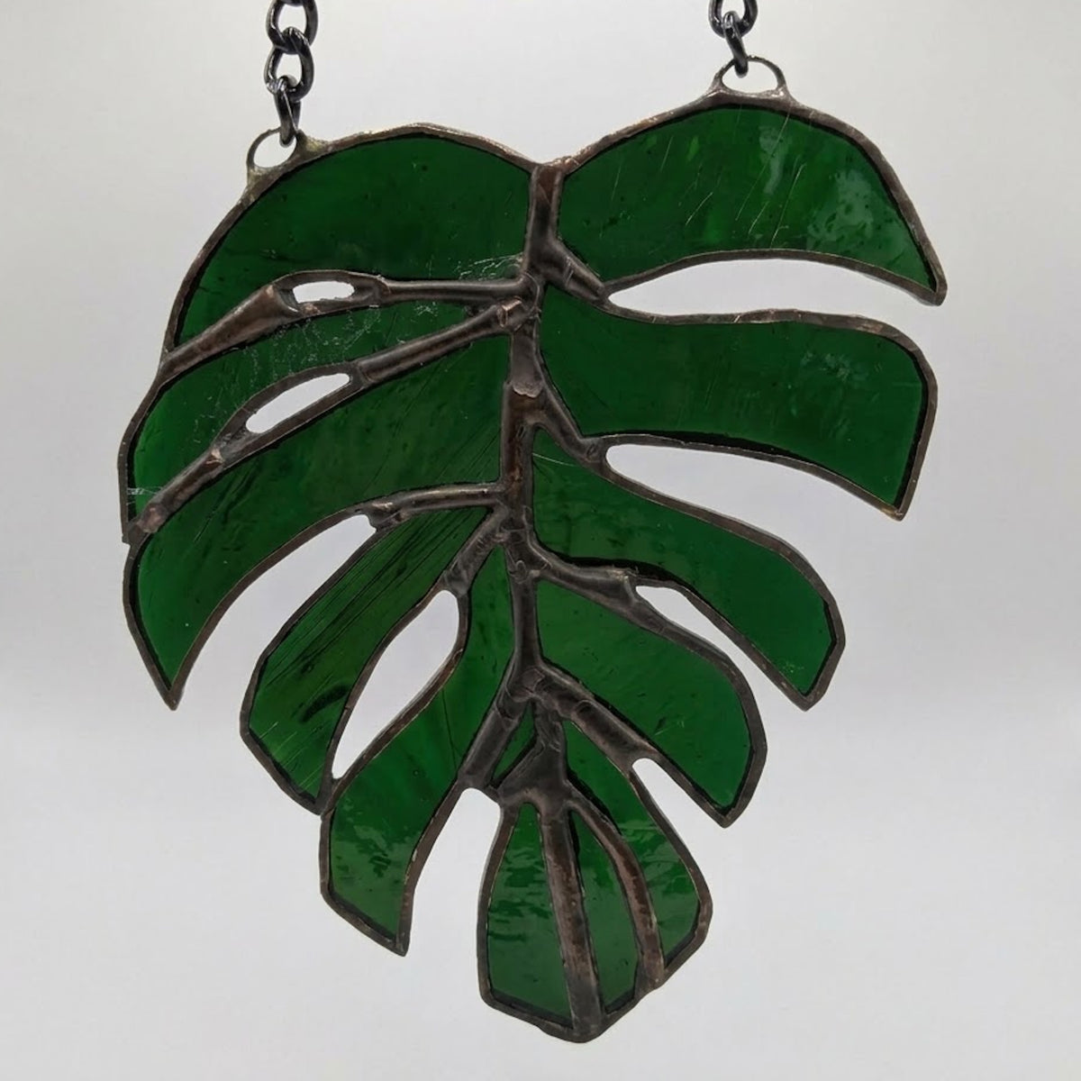 Monstera Leaf (Small)
