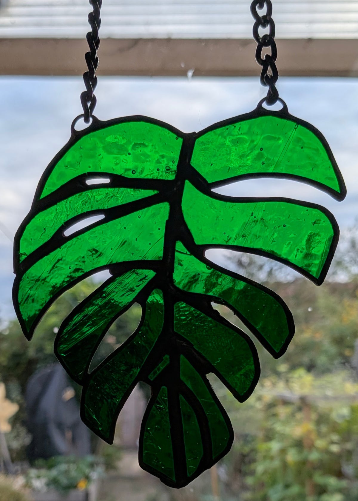 Monstera Leaf (Small)