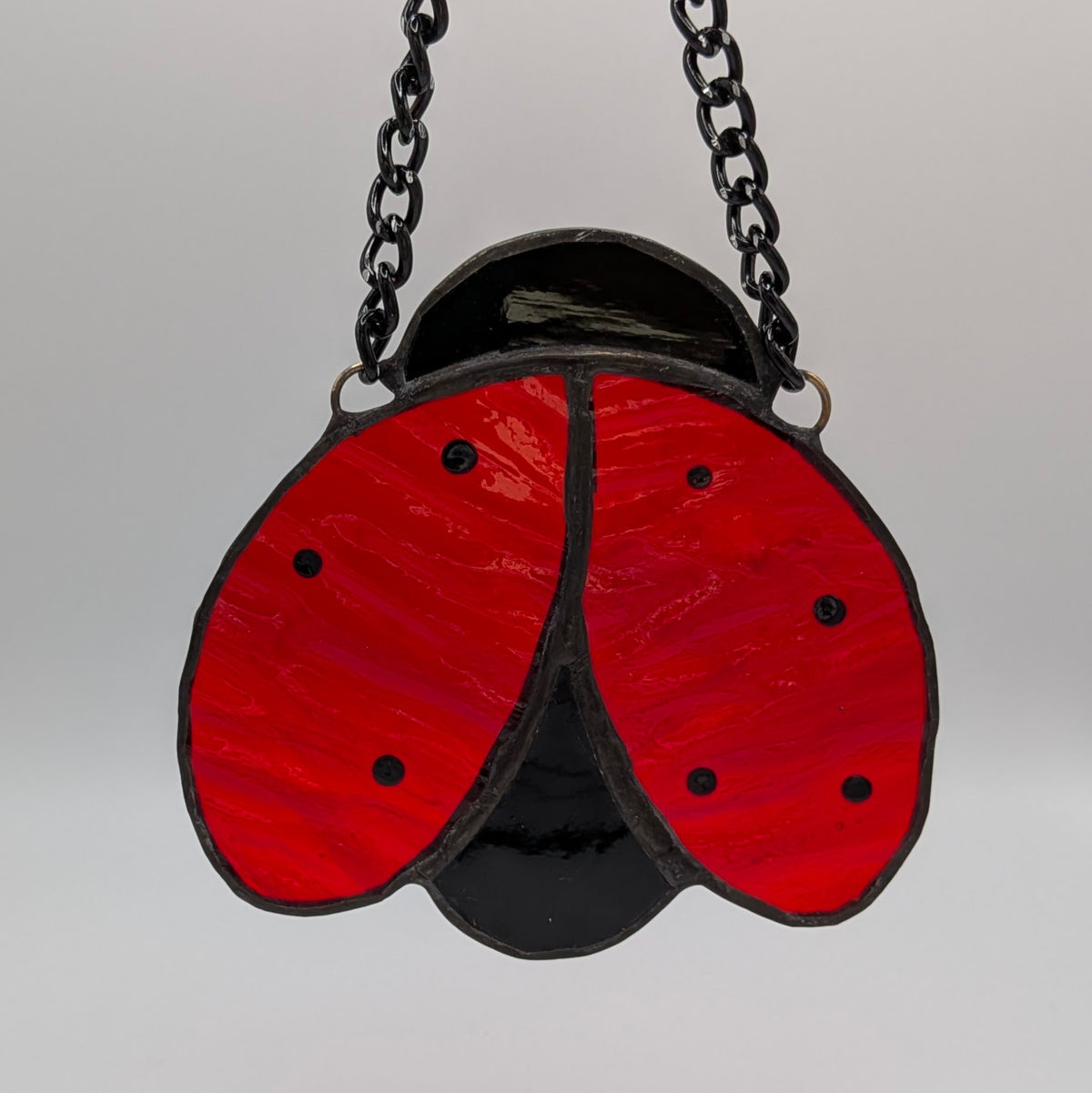 Ladybird