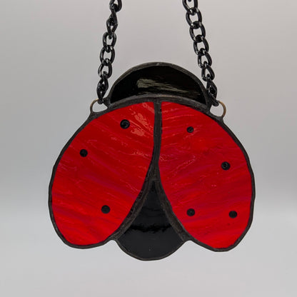 Ladybird