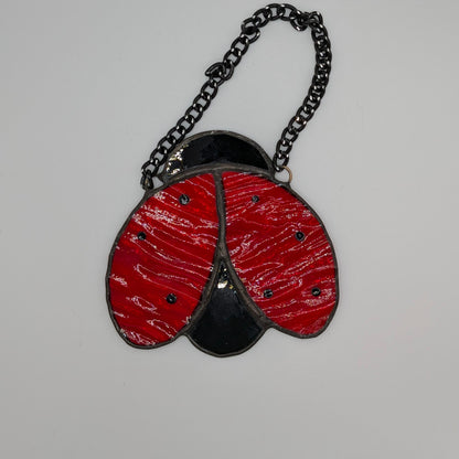 Ladybird